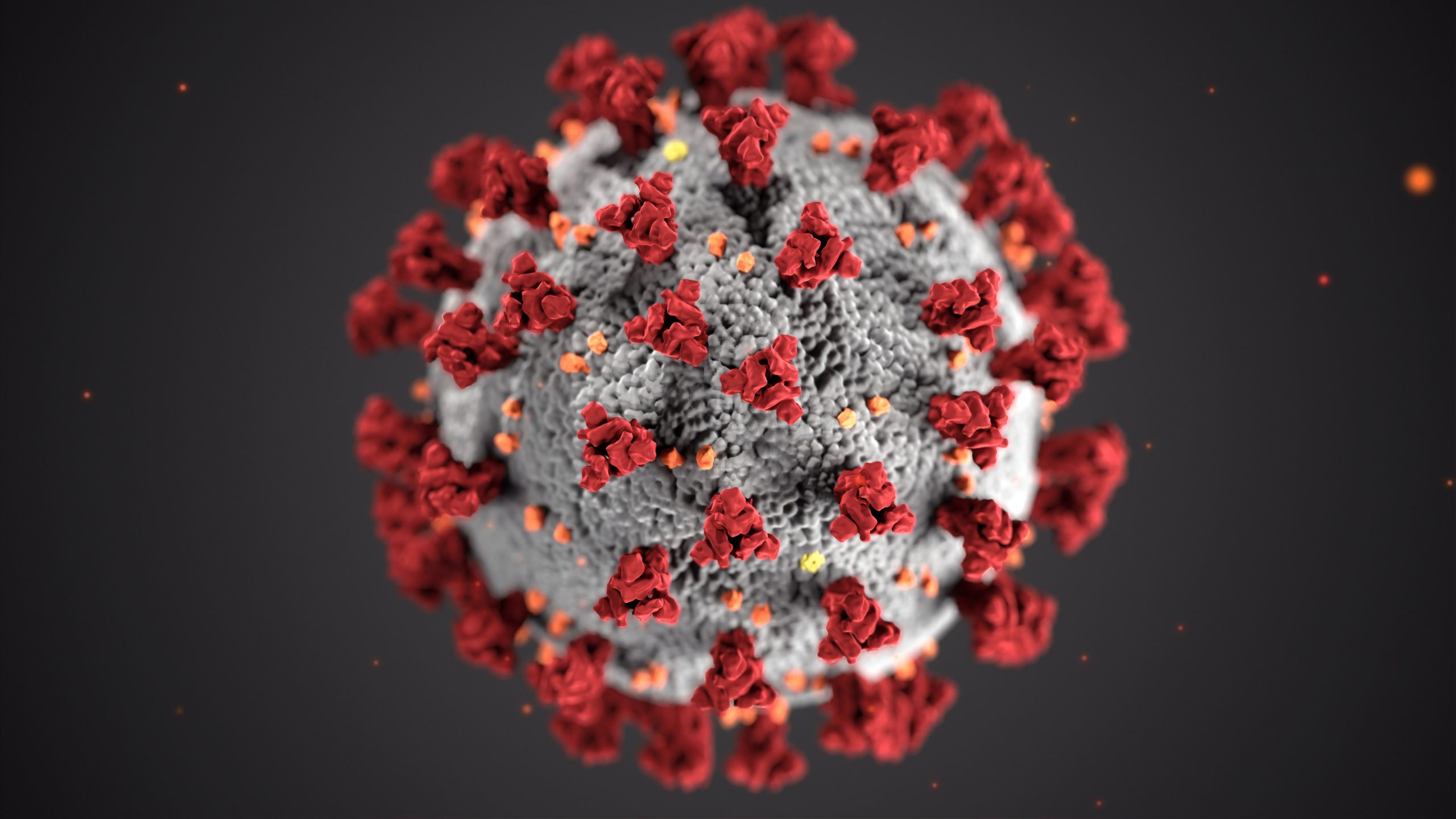 digital image of coronavirus cell